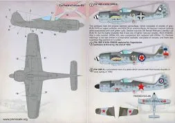 Fw 190 in Foreign Service Part.2