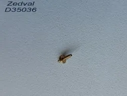 Antenna input Soviet armored vehicle WWII 1:35