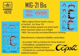 MiG-21bis Capeti last flight 1993 1:48