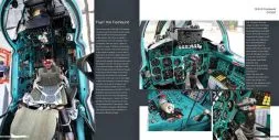 MiG-31 Foxhaund - Aircraft in detail 012