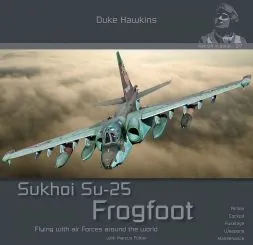 Su-25 Frogfoot - Aircraft in detail 017