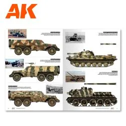 Middle East Wars 1948-1973 (Profile Guide)