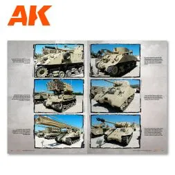 Middle East Wars 1948-1973 (Profile Guide)