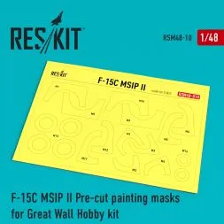 F-15 MSIP LL mask for G.W.H. 1:48