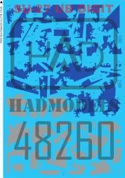 Su-27UB Ukrainian digital camouflage 1:48