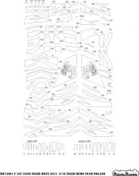 F-16C NATO Tiger Meet 2015 (Poland) Mask 1:72
