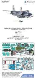 MiG-31 P.E. set for Trumpeter 1:72