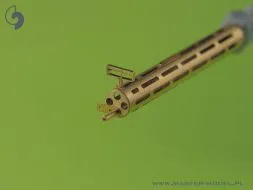 German WW I machine gun Parabellum LMG14 (1pcs) 1:32